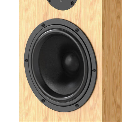 5 inches mid woofer