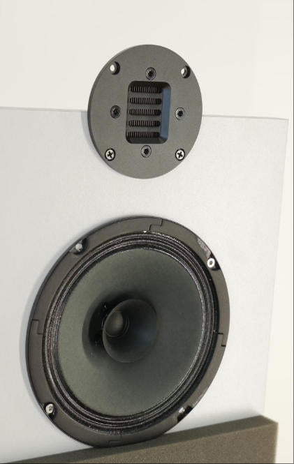 AMT speaker