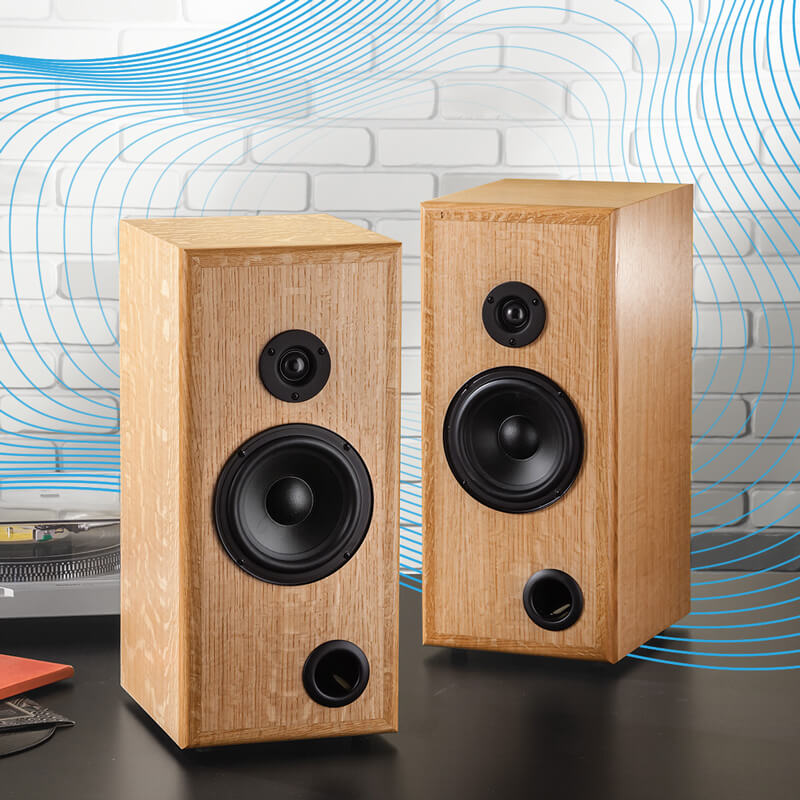 Auracast Speaker