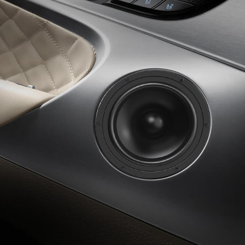 Car Midbass speakers